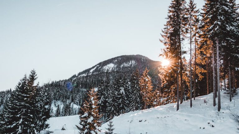 Winterrundreisen ab 50